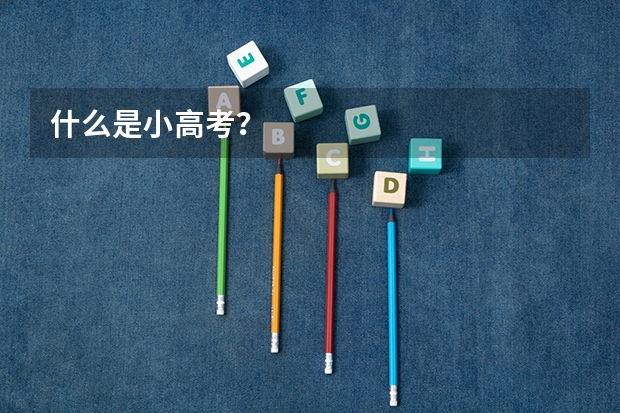 什么是小高考？