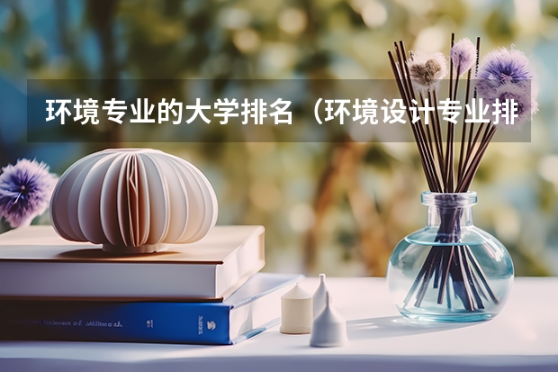 环境专业的大学排名（环境设计专业排名）