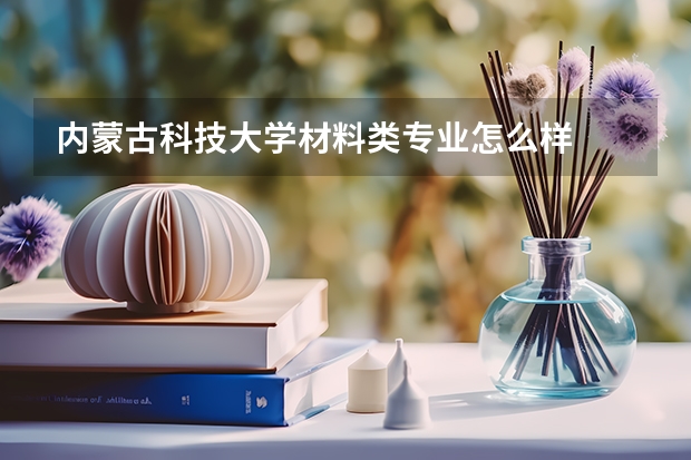 内蒙古科技大学材料类专业怎么样