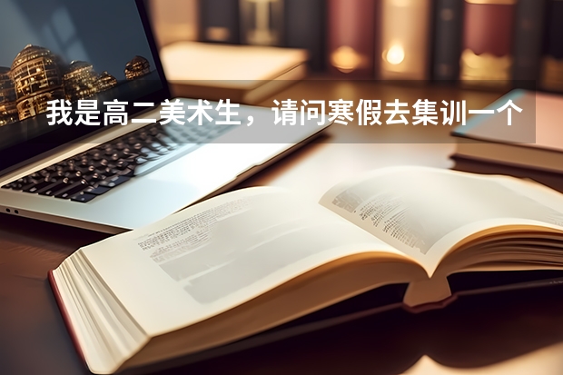 我是高二美术生，请问寒假去集训一个月有必要吗？有的人说可以看看高三水平提前适应，便于暑假更早进入状
