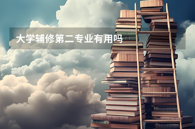 大学辅修第二专业有用吗