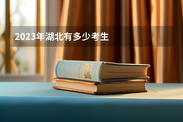 2023年湖北有多少考生