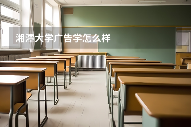 湘潭大学广告学怎么样