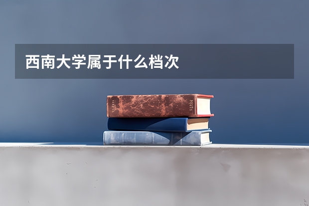 西南大学属于什么档次
