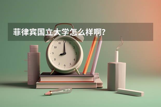 菲律宾国立大学怎么样啊？