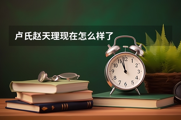 卢氏赵天理现在怎么样了