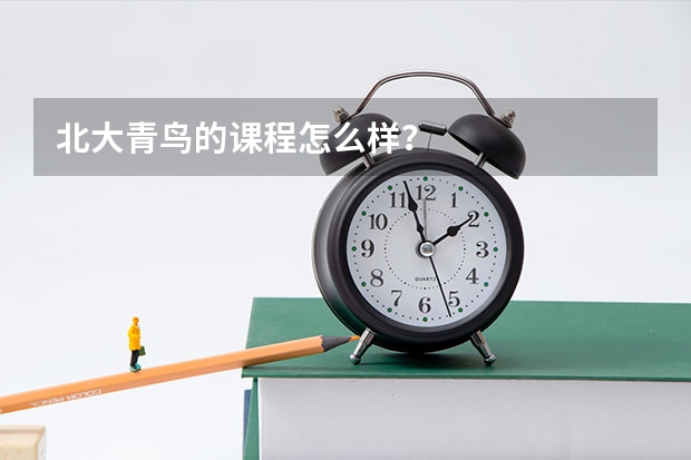 北大青鸟的课程怎么样？
