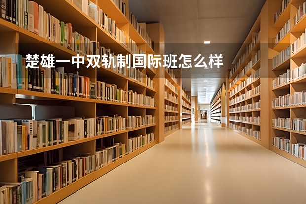 楚雄一中双轨制国际班怎么样