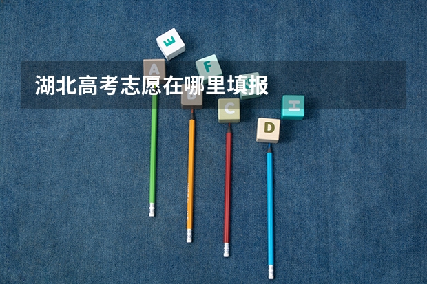 湖北高考志愿在哪里填报