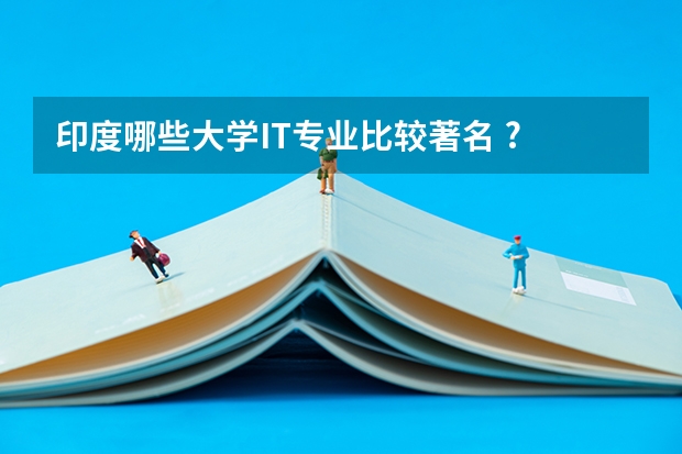 印度哪些大学IT专业比较著名 ?