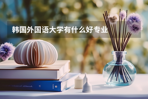 韩国外国语大学有什么好专业