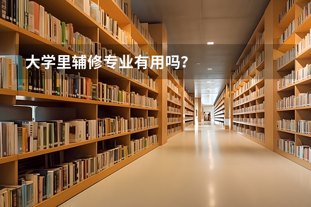 大学里辅修专业有用吗？