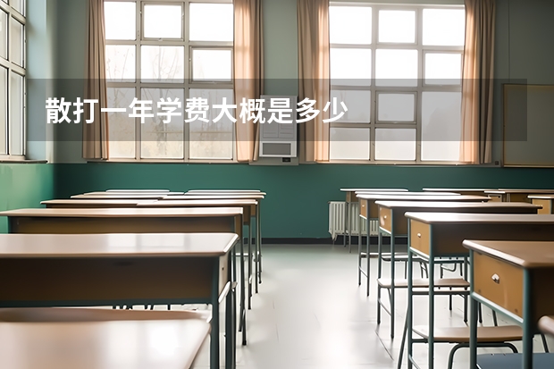 散打一年学费大概是多少