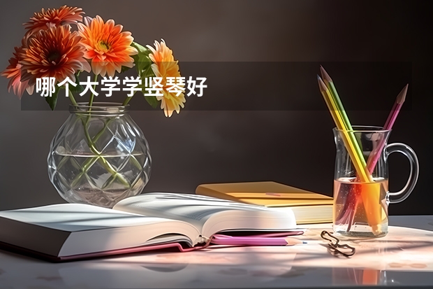 哪个大学学竖琴好