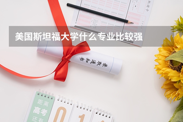 美国斯坦福大学什么专业比较强