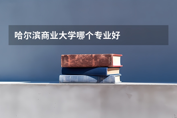 哈尔滨商业大学哪个专业好