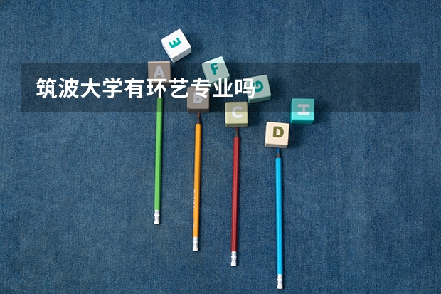 筑波大学有环艺专业吗