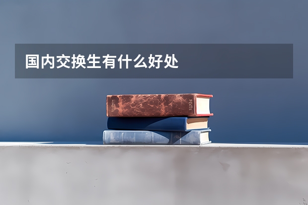 国内交换生有什么好处
