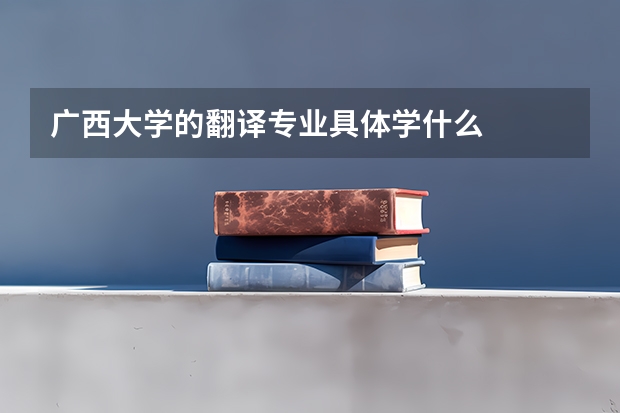 广西大学的翻译专业具体学什么