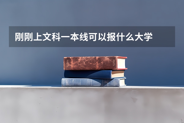 刚刚上文科一本线可以报什么大学