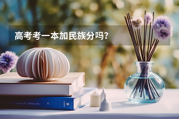 高考考一本加民族分吗？