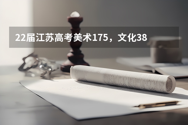 22届江苏高考美术175，文化380，大概能上什么学校啊？