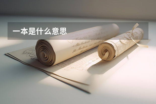 一本是什么意思
