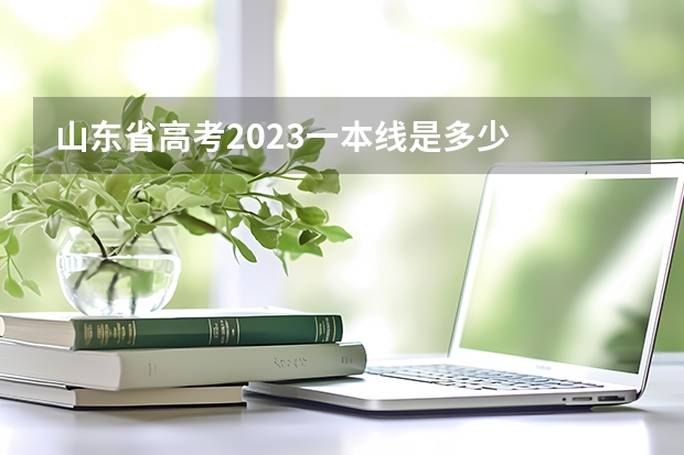 山东省高考2023一本线是多少