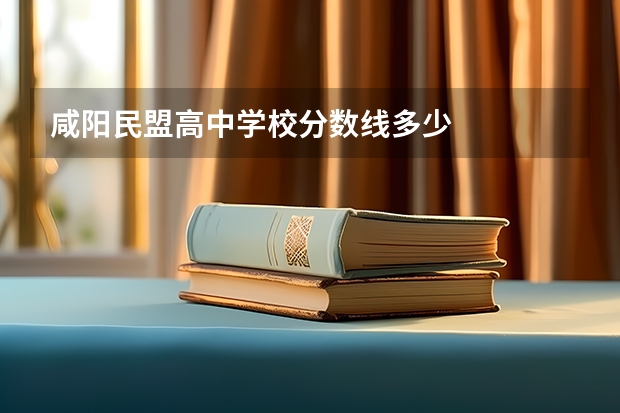 咸阳民盟高中学校分数线多少