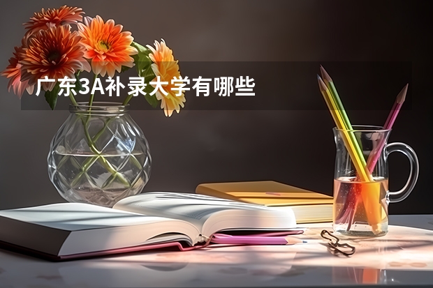 广东3A补录大学有哪些