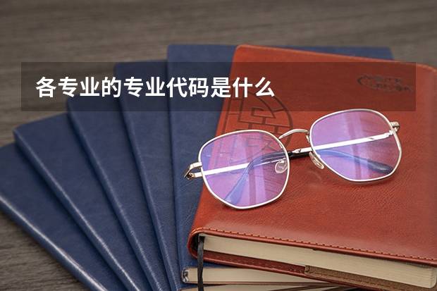 各专业的专业代码是什么