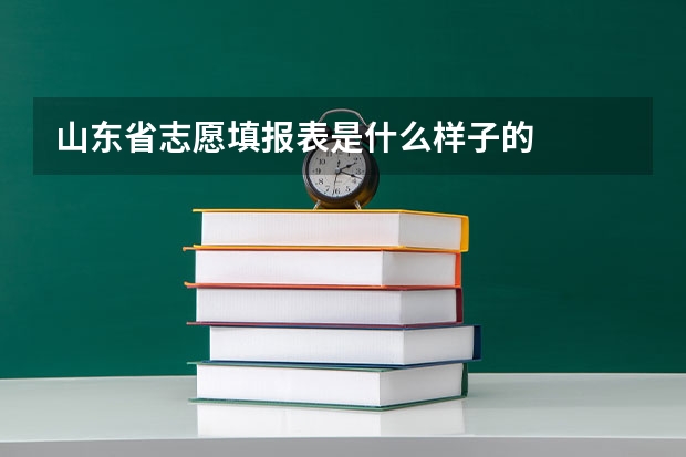 山东省志愿填报表是什么样子的