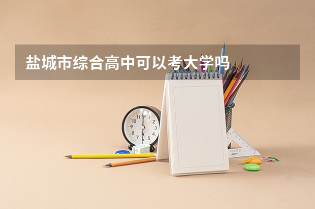 盐城市综合高中可以考大学吗