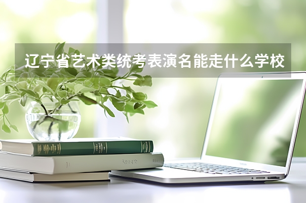 辽宁省艺术类统考表演名能走什么学校