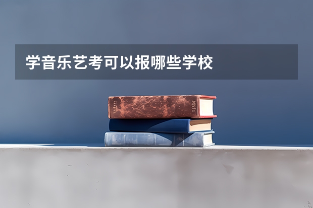 学音乐艺考可以报哪些学校