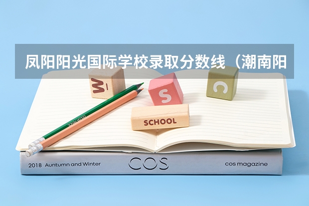 凤阳阳光国际学校录取分数线（潮南阳光实验学校录取分数线）