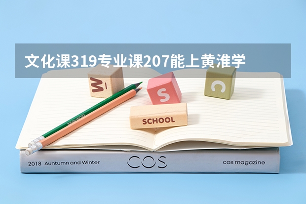 文化课319专业课207能上黄淮学院本科吗