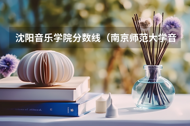沈阳音乐学院分数线（南京师范大学音乐学院录取分数线）