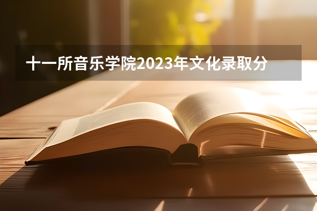 十一所音乐学院2023年文化录取分数线汇总（山西大学音乐系录取分数线2023）