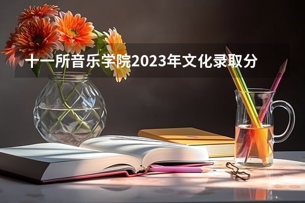 十一所音乐学院2023年文化录取分数线汇总（上海视觉艺术学院分数线）