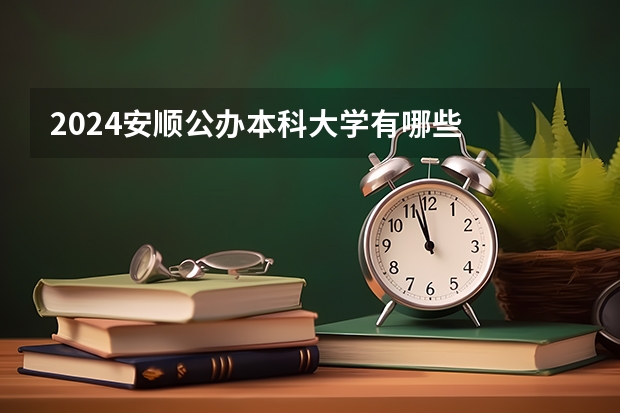2024安顺公办本科大学有哪些