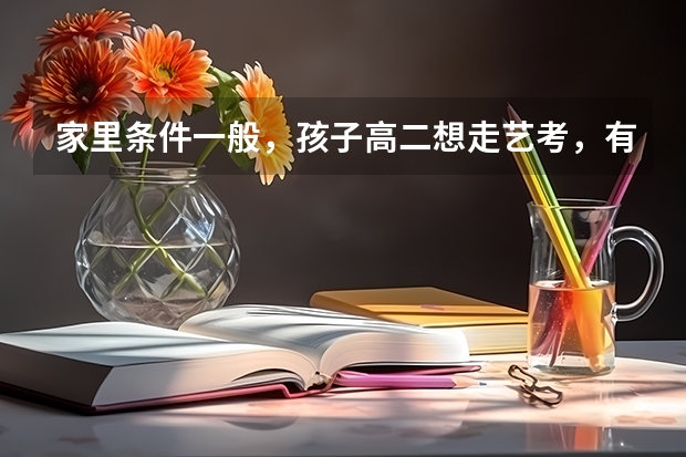 家里条件一般，孩子高二想走艺考，有哪些专业比较适合他现在学？