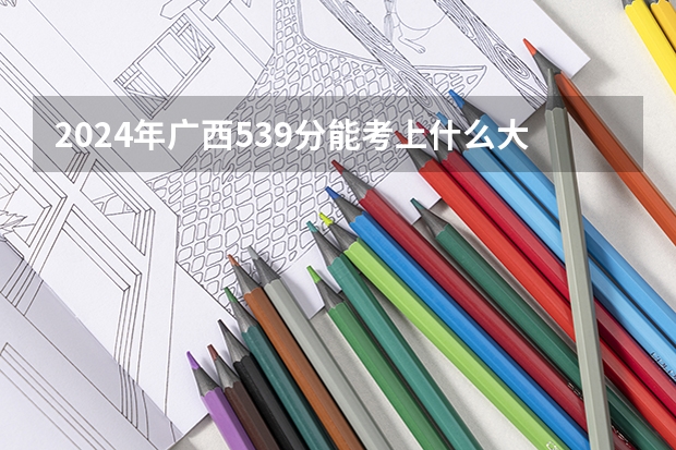 2024年广西539分能考上什么大学?