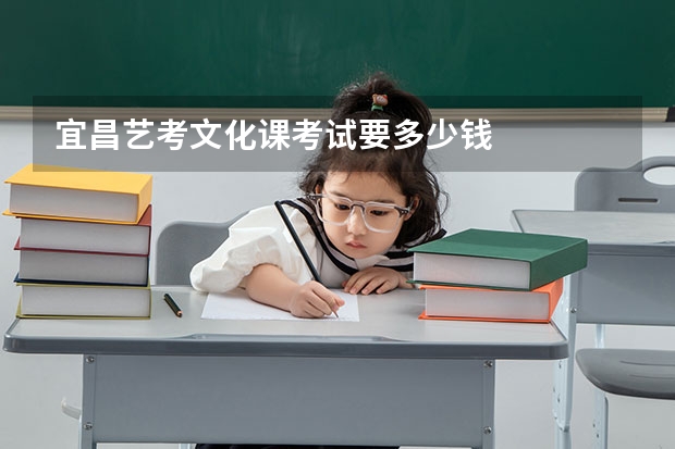 宜昌艺考文化课考试要多少钱