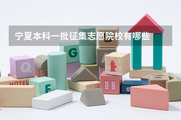 宁夏本科一批征集志愿院校有哪些