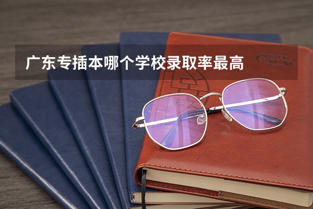 广东专插本哪个学校录取率最高