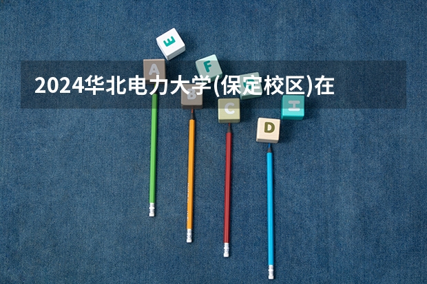 2024华北电力大学(保定校区)在山东招生计划（招多少人）