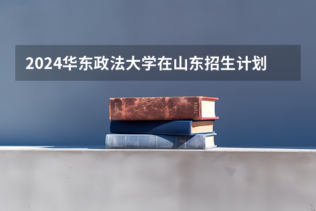 2024华东政法大学在山东招生计划（招多少人）