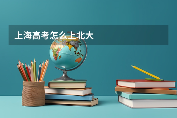 上海高考怎么上北大