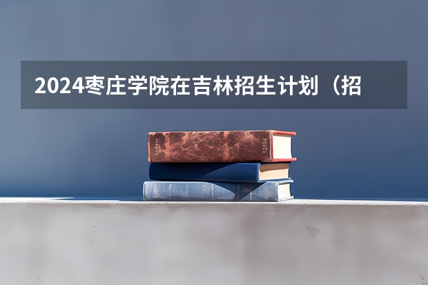 2024枣庄学院在吉林招生计划（招多少人）